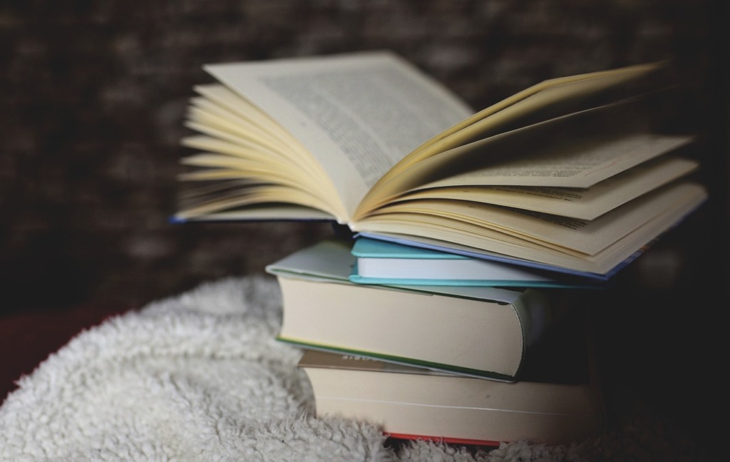 Books Read Knowledge Literature  - congerdesign / Pixabay