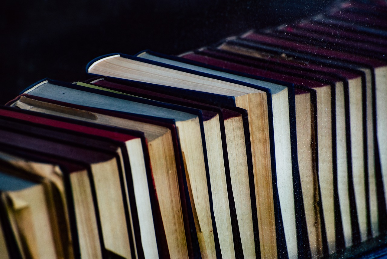Books Read Literature Knowledge  - wal_172619 / Pixabay