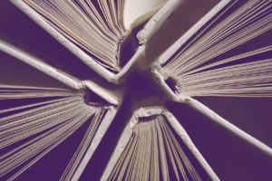 Books Read Stories School Library  - Kranich17 / Pixabay
