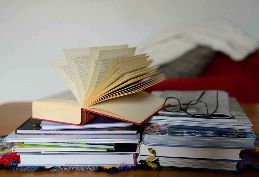 Books Read Study Literature  - congerdesign / Pixabay