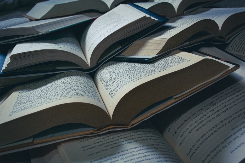 Books Reading Library Study  - MeganLeeB / Pixabay