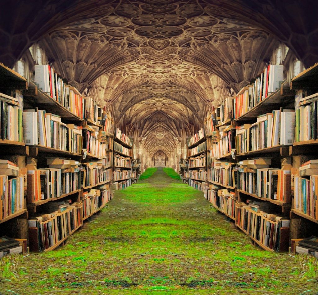 Books Shelves Grass Castle  - Prettysleepy / Pixabay