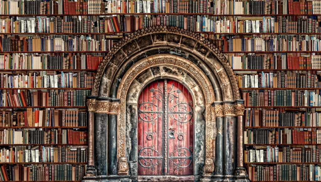 Books Shelves Library Doorway  - Prettysleepy / Pixabay