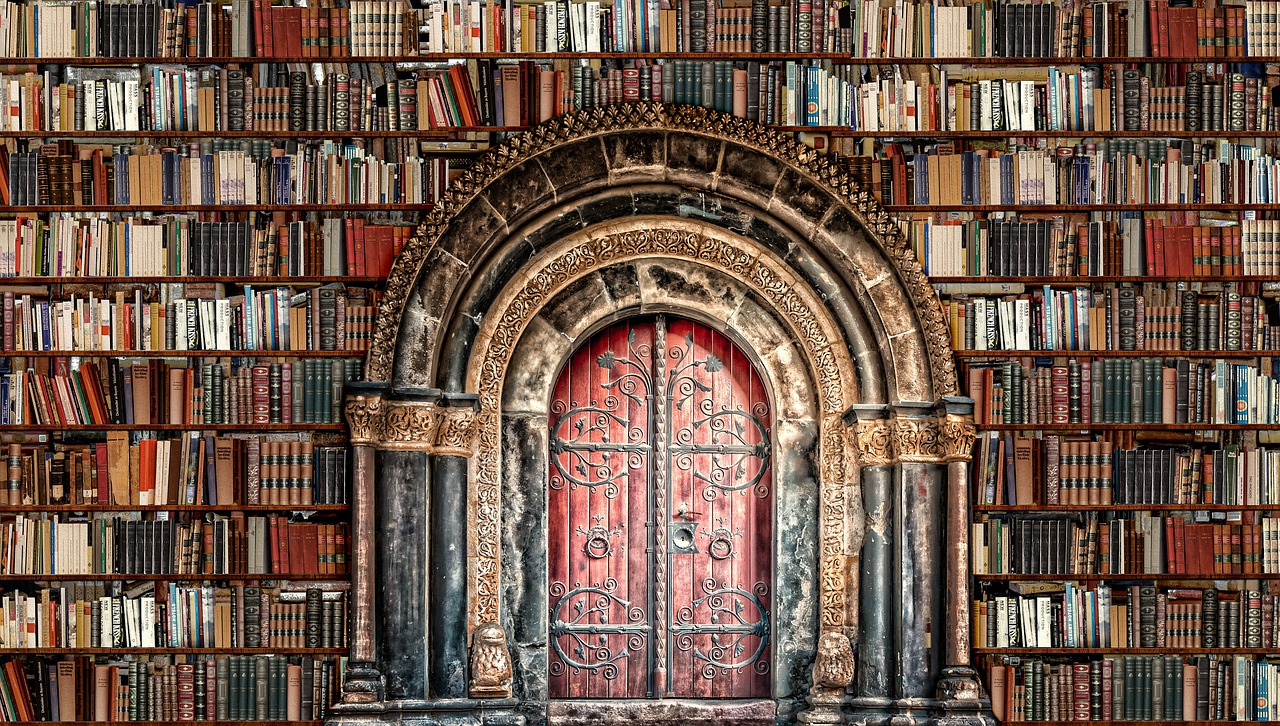 Books Shelves Library Doorway  - Prettysleepy / Pixabay