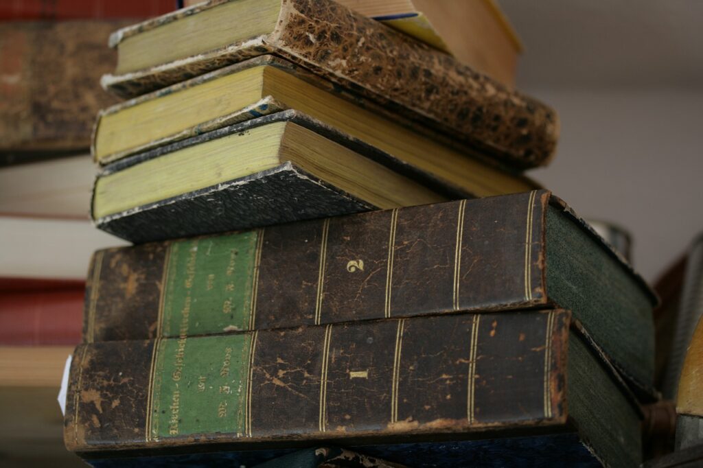 Books Stack Old Library  - Joa70 / Pixabay