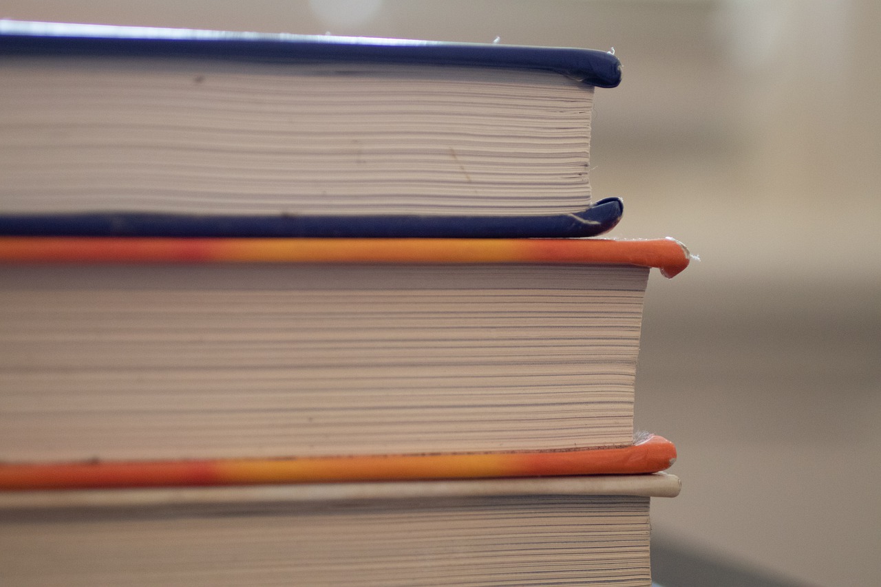 Books Textbooks Education Study  - Squirrel_photos / Pixabay