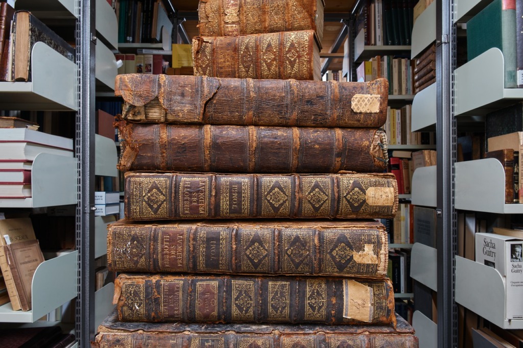 Books Vintage Collection  - EmileKerss / Pixabay