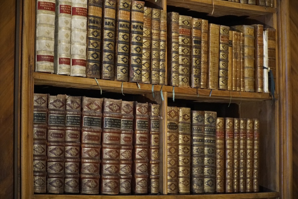 Bookshelf Library Old Books Books  - jhenning_beauty_of_nature / Pixabay
