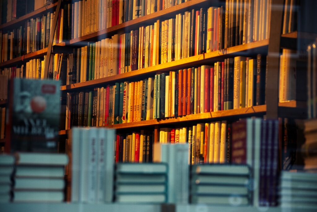Bookshop Bookstore Books Read  - wal_172619 / Pixabay