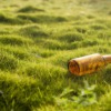 Bottle Grass Lawn Nature Garbage  - Letone / Pixabay