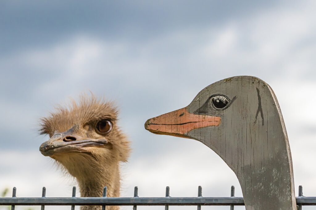 Bouquet Animal Bird Nature Sky  - analogicus / Pixabay