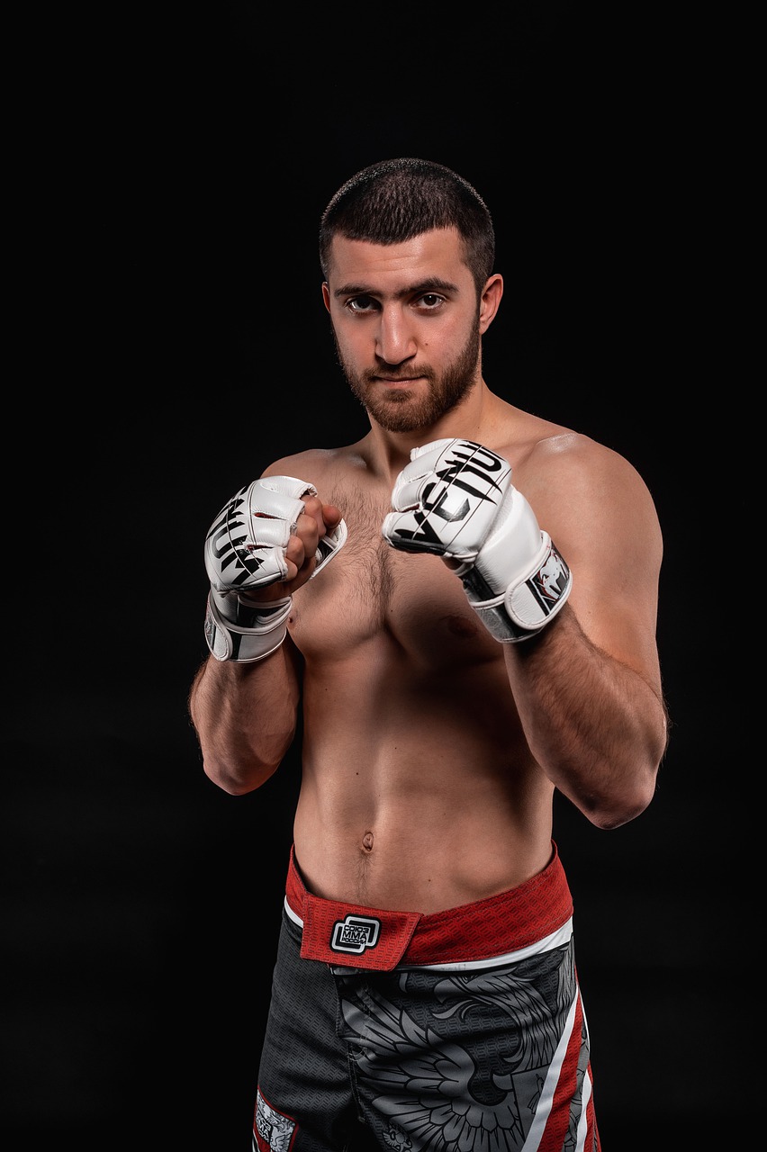 Boxer Man Fighting Gloves Fighter  - makatsu666 / Pixabay