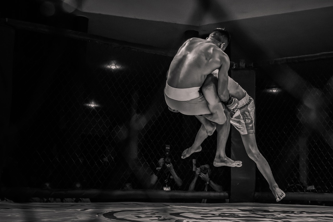 Boxing Mma Mixed Martial Arts  - PranongCreative / Pixabay