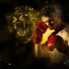 Boxing Sports Boxer Kickboxing  - ArtTower / Pixabay