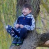 Boy Child Tree Kid Happy Climbed  - Surprising_Shots / Pixabay