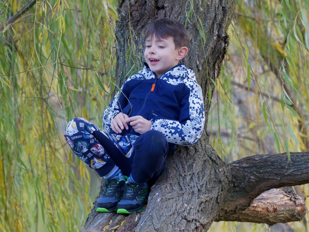 Boy Child Tree Kid Happy Climbed  - Surprising_Shots / Pixabay