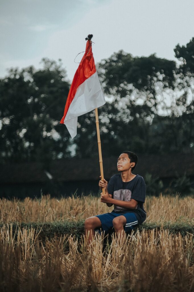 Boy Flag Indonesia Meadow Field  - SyauqiFillah / Pixabay