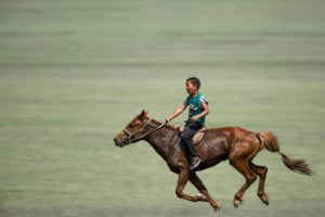 Boy Horse Riding Galloping Horse  - Kanenori / Pixabay