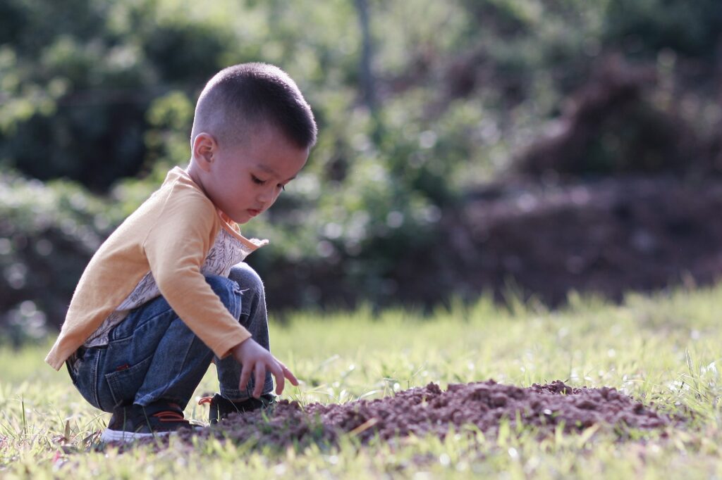 Boy Kid Child Young Playing Field  - Hainguyen1982 / Pixabay