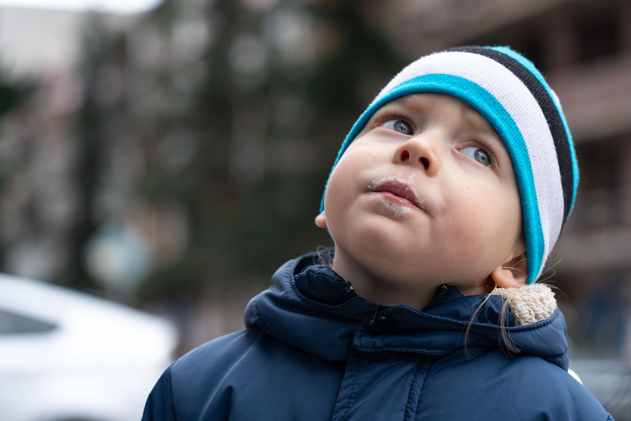 Boy Look Face Winter Clothes  - DimStock / Pixabay