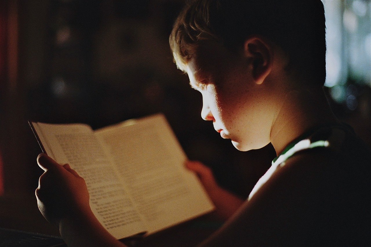 Boy Reading Book Literature - NWimagesbySabrinaEickhoff / Pixabay