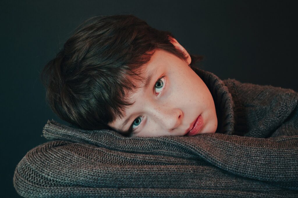 Boy Teen Portrait Kid Child Young  - Victoria_Borodinova / Pixabay