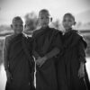 Boys Buddhist Monks Young Monks  - tonywuphotography / Pixabay