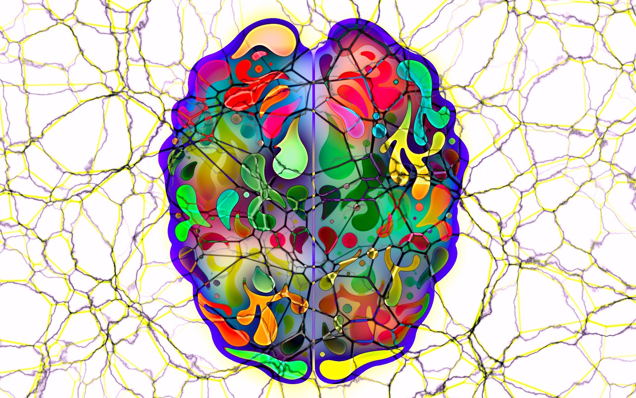 Brain Head Mind Man Silhouette  - geralt / Pixabay