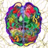 Brain Head Mind Man Silhouette  - geralt / Pixabay