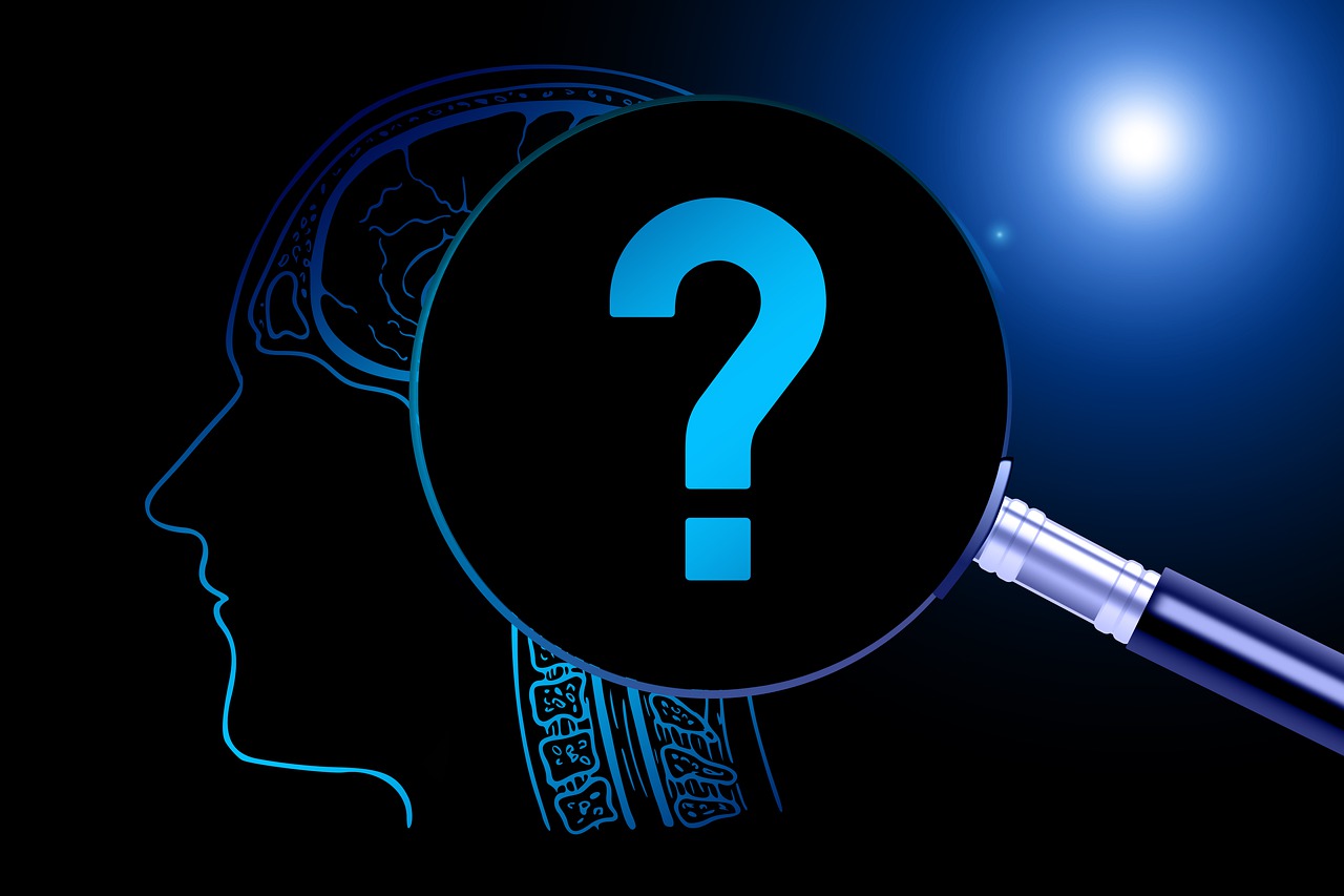 Brain Magnifying Glass Analysis  - geralt / Pixabay