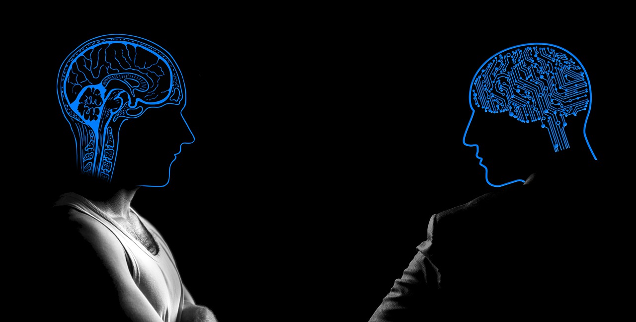 Brains Artificial Intelligence - geralt / Pixabay