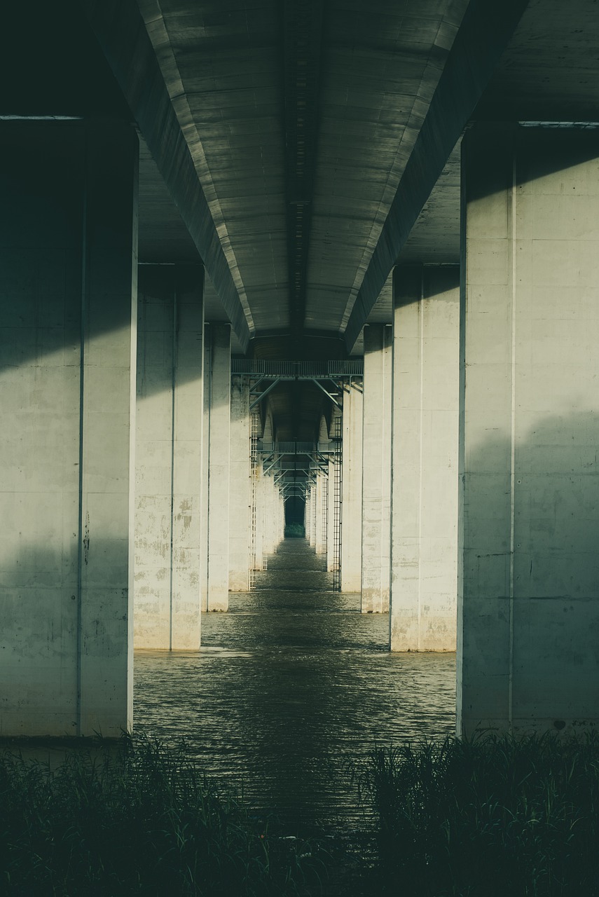 Bridge Nanjing Yangtze River City  - deranho / Pixabay