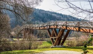 Bridge Trees Tatzlwurm Bridge  - WagnerAnne / Pixabay