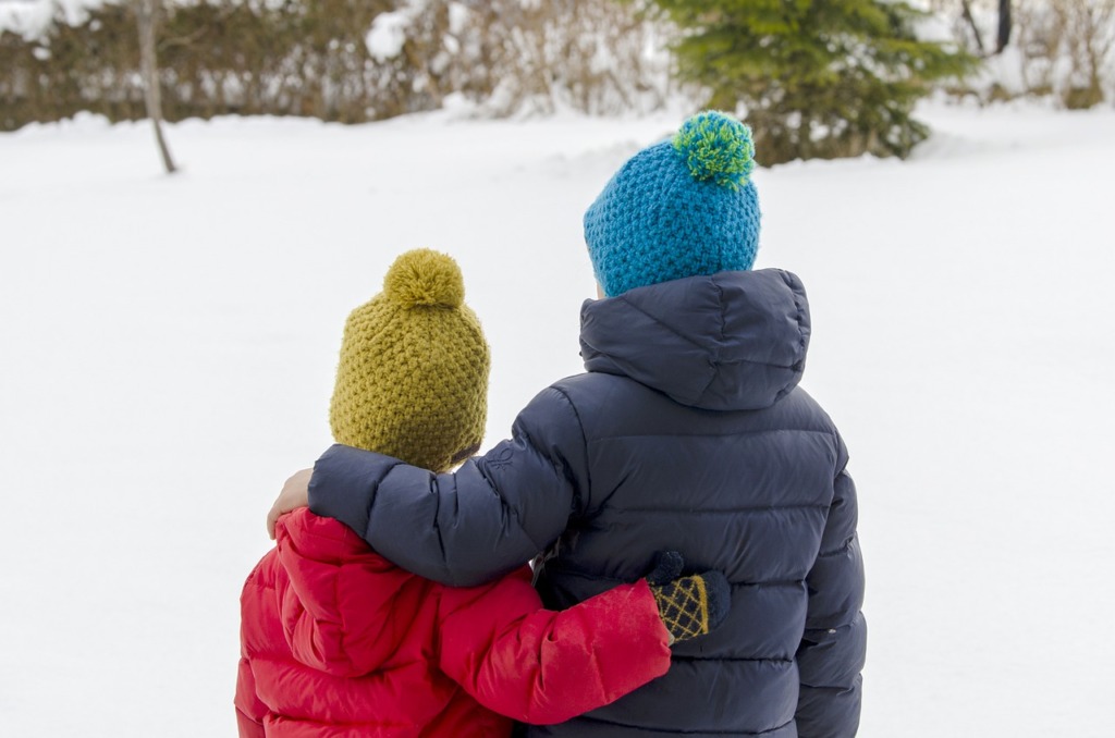 Brothers Winter Season Outdoors  - niribarov / Pixabay