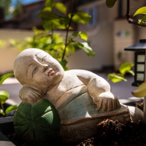 Buddha Buddhism Figure Garden  - rdlaw / Pixabay