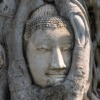 Buddha Head Statue Meditation Zen  - kmarius / Pixabay
