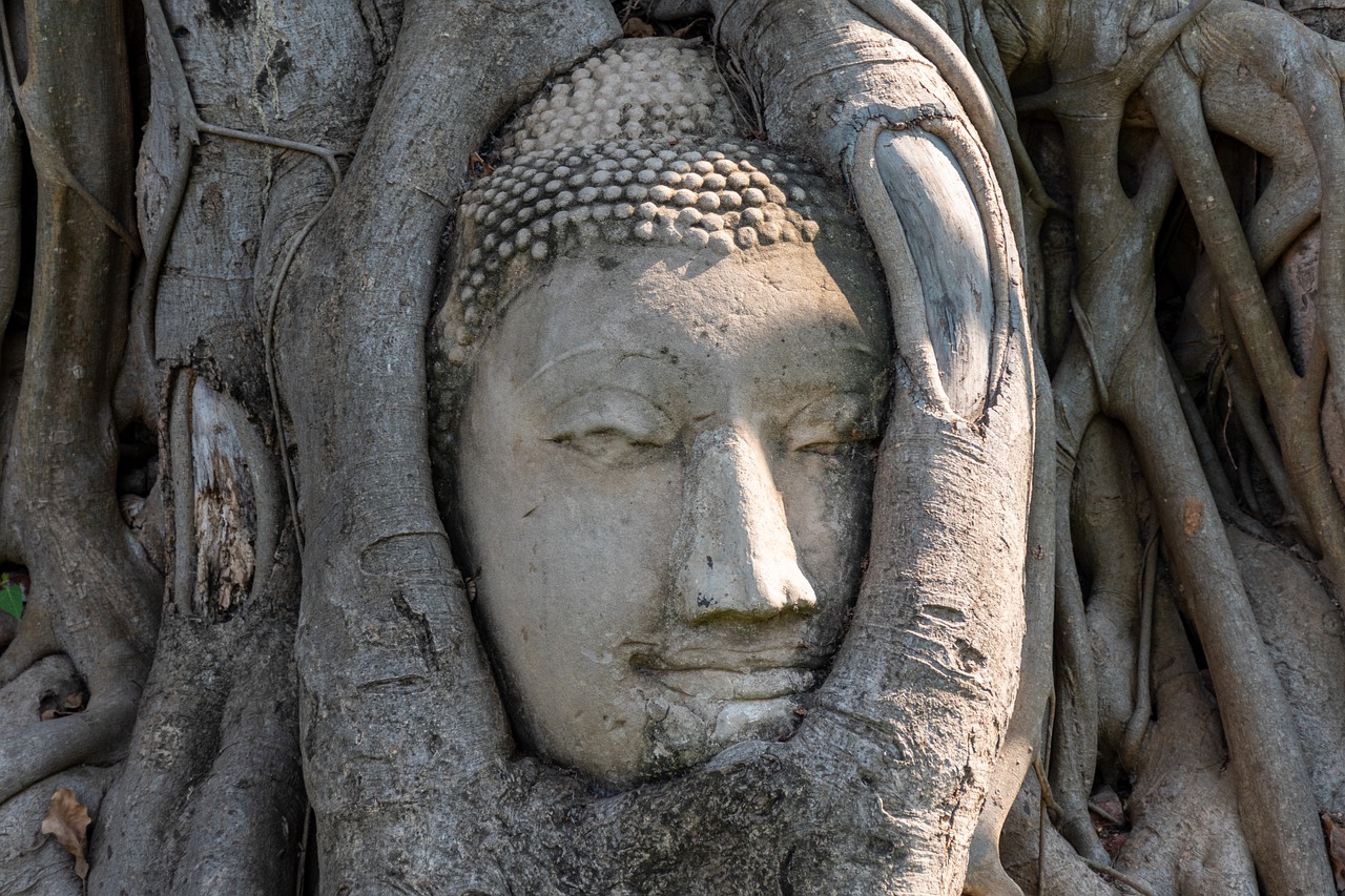 Buddha Head Statue Meditation Zen  - kmarius / Pixabay