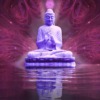 Buddha Meditation Yoga Spiritual  - TheDigitalArtist / Pixabay