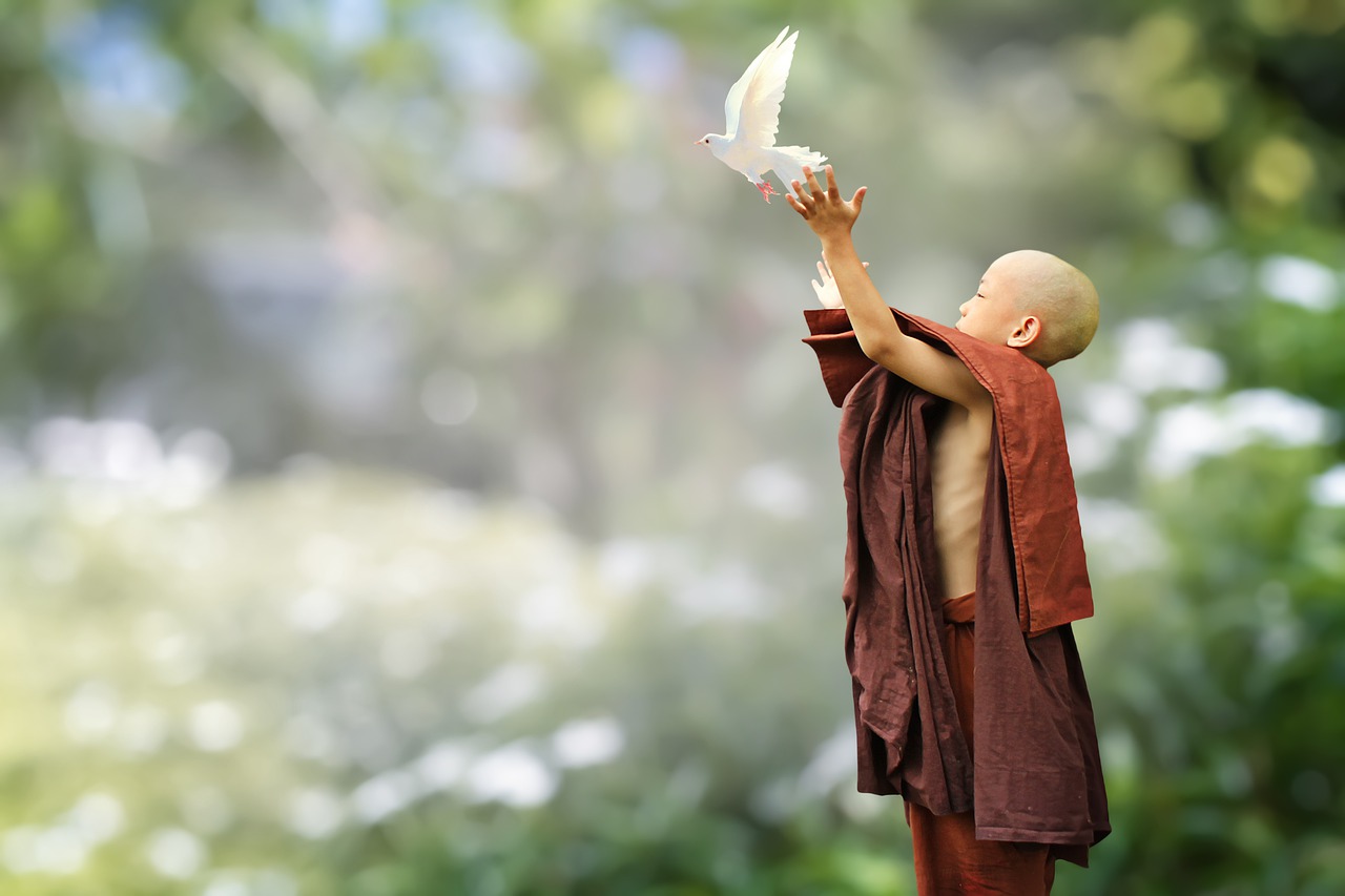 Buddhist Monk Novice Buddhism Bird  - truthseeker08 / Pixabay