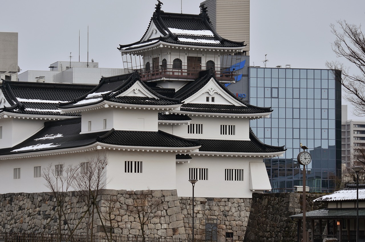 Building Castle Toyama Castle Japan  - Santa3 / Pixabay
