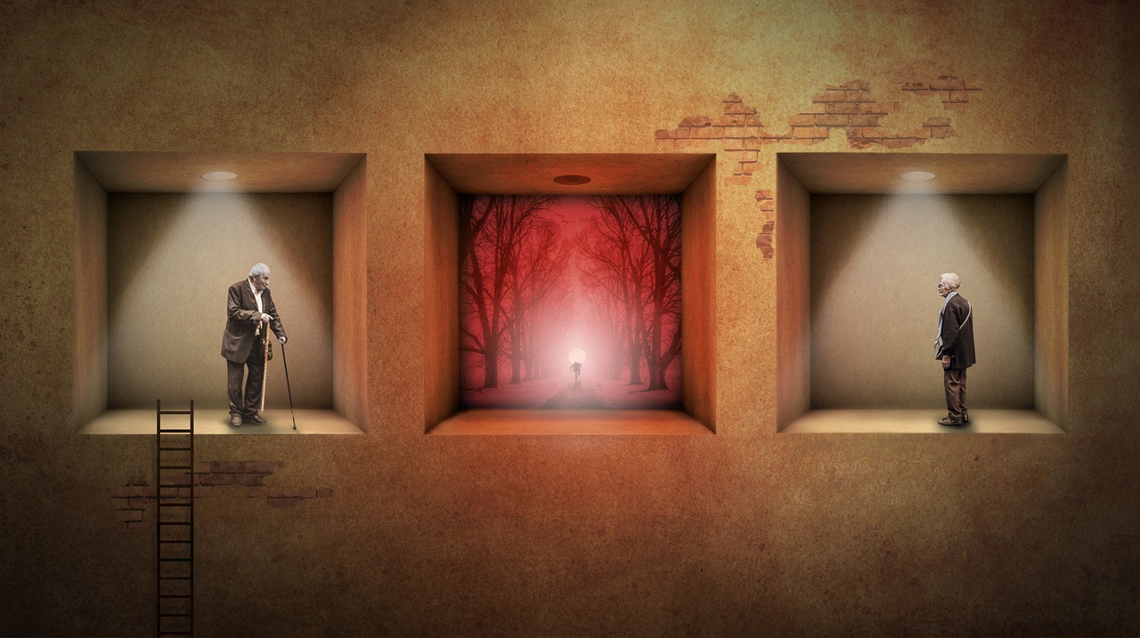 Building Wall Ladder Marriage  - -MayaQ- / Pixabay