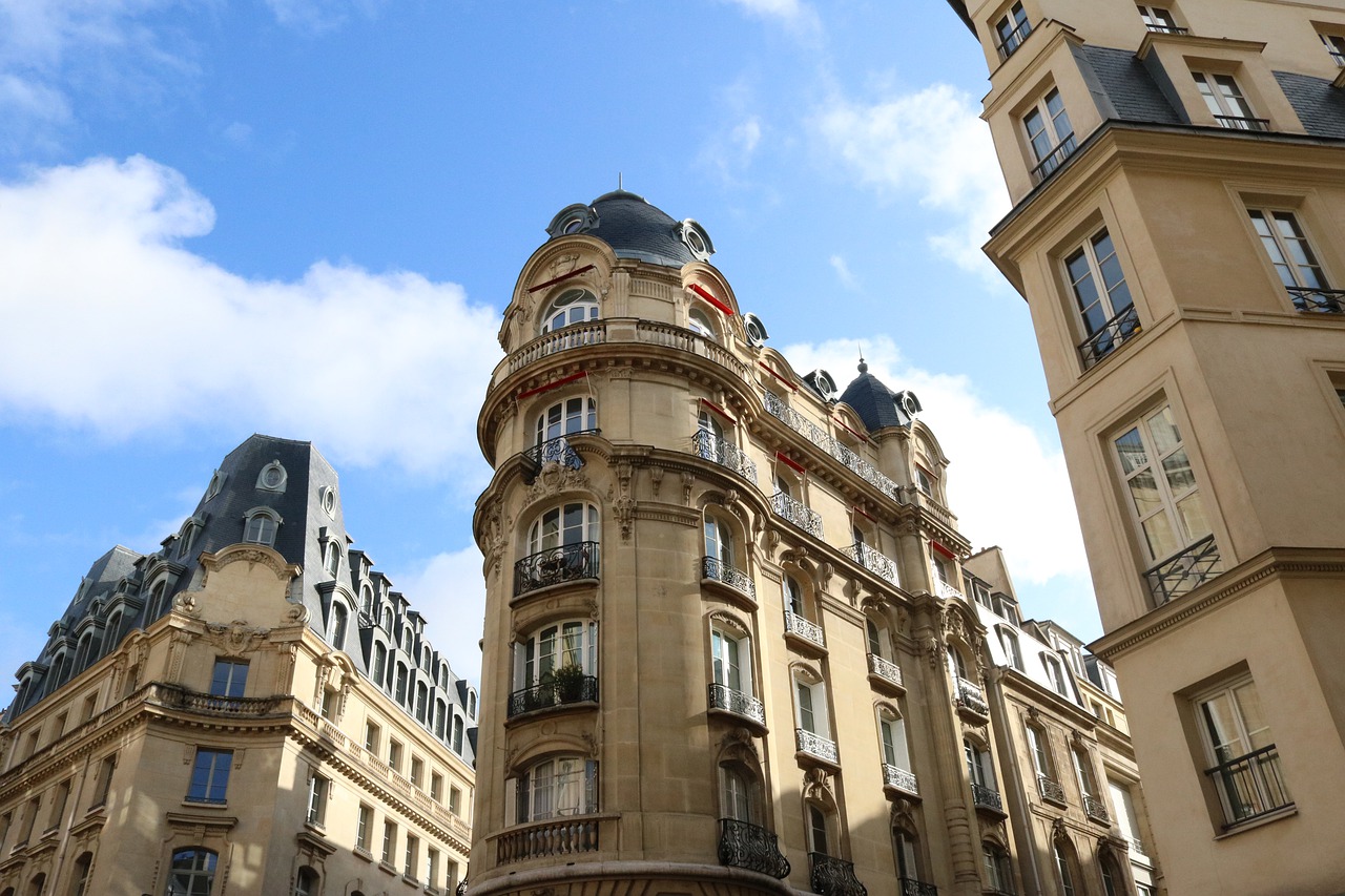 Buildings City Paris Old Buildings  - hxinge / Pixabay
