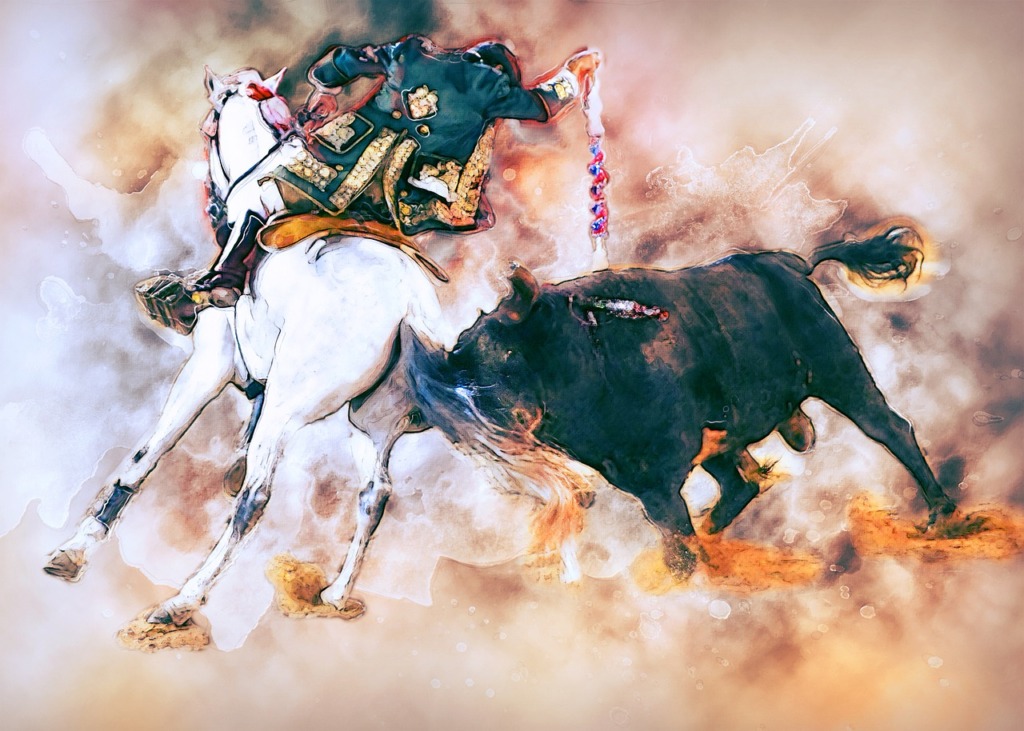Bullfighting Man Photo Art Corrida  - ArtTower / Pixabay