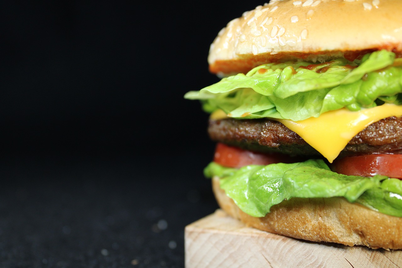 Burger Portrait Background Close Up - LordLucas / Pixabay