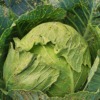 Cabbage Cauliflower Vegetable  - jeanlouisservais / Pixabay