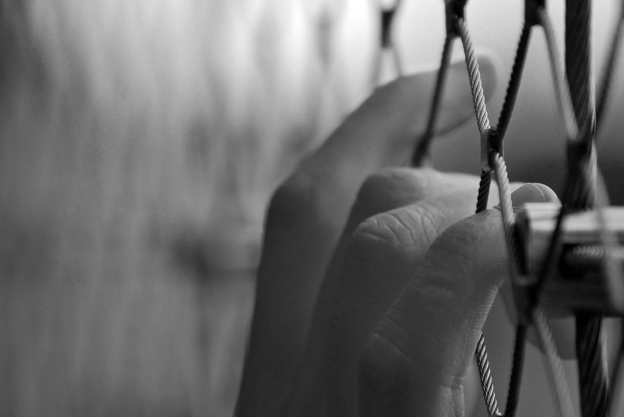 Cage Prisoner Freedom Hand  - OscarHdz / Pixabay