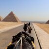 Cairo Pyramid Horse Egypt Sphinx  - bluedoorcuisine / Pixabay