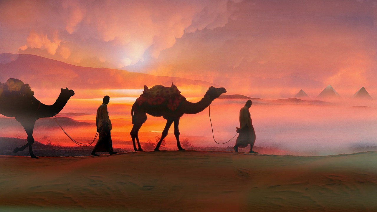 Camels Sunset Desert Travelers  - Placidplace / Pixabay