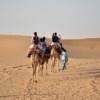 Camels Travel Desert Caravan  - richphotographix / Pixabay