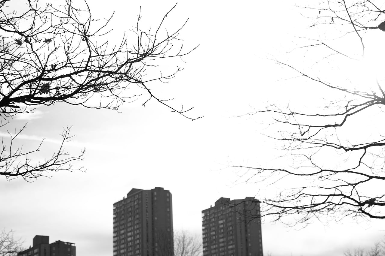 Canada Day Toronto Architecture - lucasgeorgewendt / Pixabay